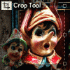 1258617679_crop-tool.gif